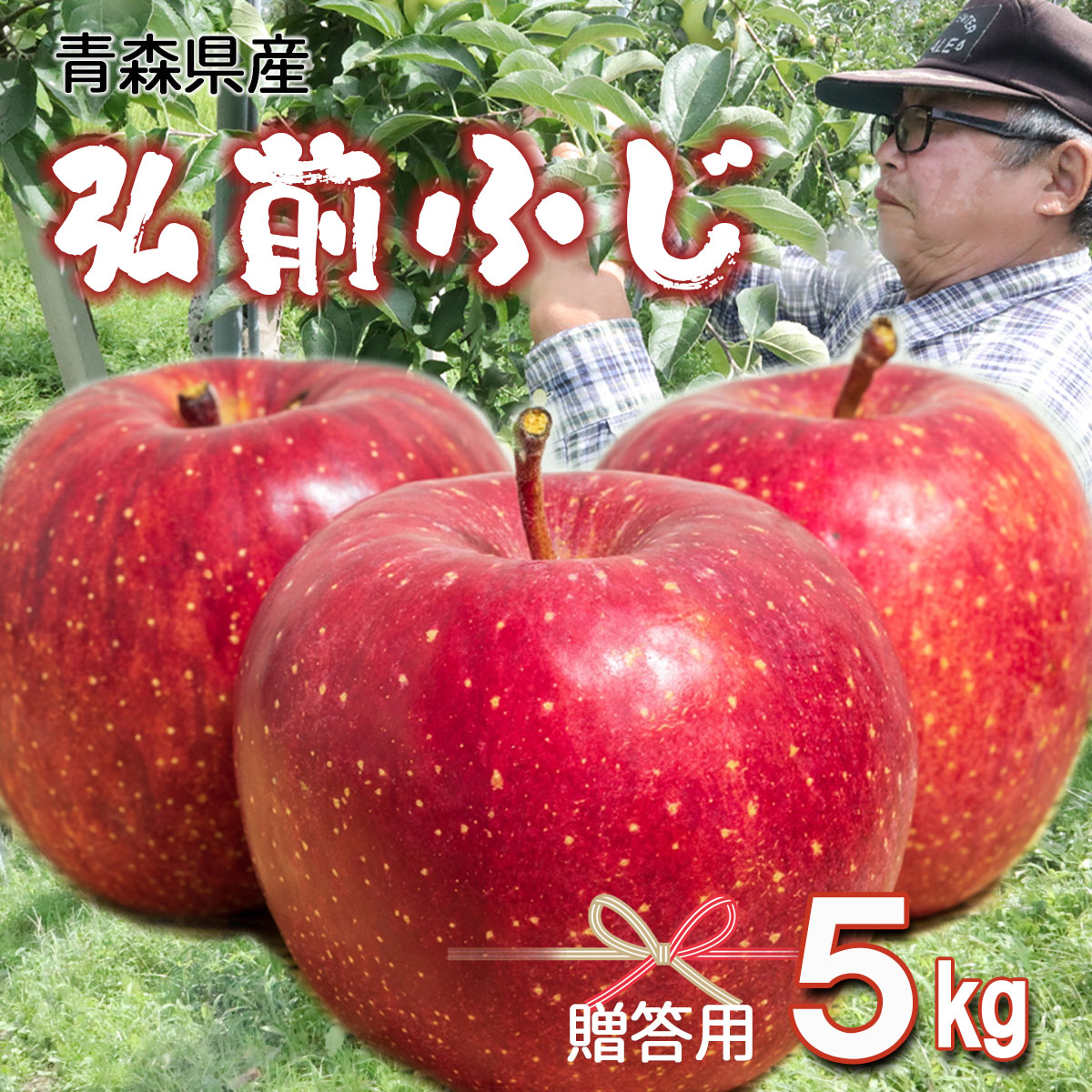 りんご リンゴ 送料無料 林檎 ringo 数量限定 2022年産 青森県産りんご 秀品 贈答用 弘前ふじ 5kg (約16玉〜25玉入り) のし無料 産地直送 工藤農園 蜜入り ふじ おいしい おすすめ ギフト 贈り物 敬老の日
