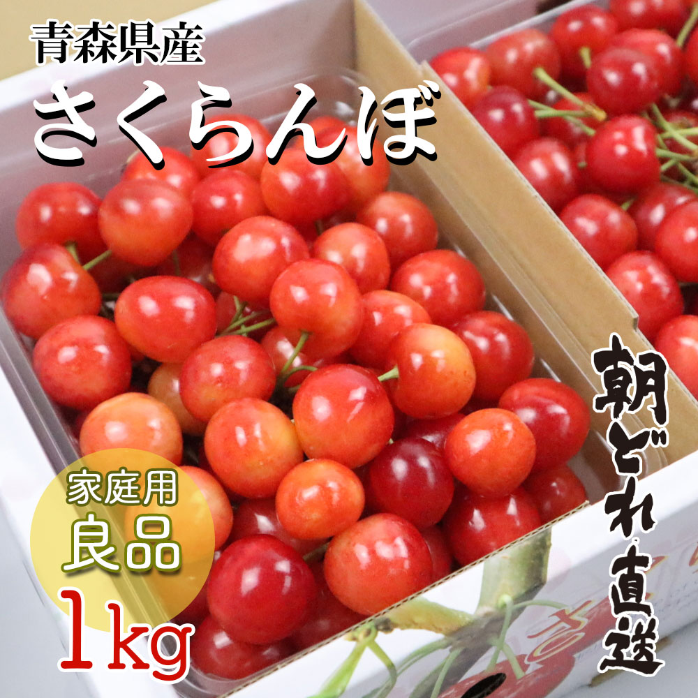【ポイント2倍】【先行予約 家庭用 旬のさくらんぼをお届けします】さくらんぼ 家庭用 良品 1kg 2025年産 品種おまかせ 朝どれ 農家 直送 青森県産 佐藤錦 紅秀峰 ジューンブライド サミット 果物 フルーツ 人気 お取り寄せ グルメ 送料無料