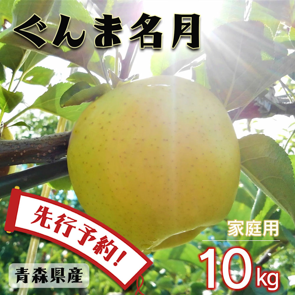 【ポイント2倍】【先行予約】 りんご リンゴ 送料無料 林檎 ringo 数量限定 2025年産 青森県産りんご 青森りんご ご家庭用 訳あり ぐんま名月  10kg (約32玉～50玉入り) 産地直送 工藤農園 おいしい 青りんご おすすめ 敬老の日