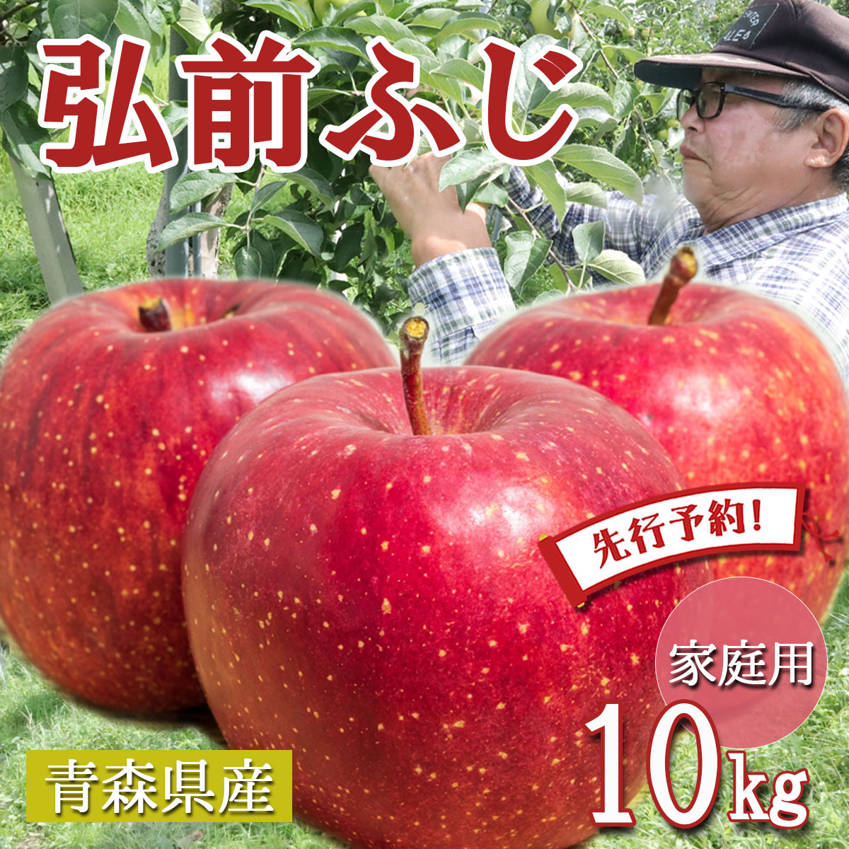 【24時間限定クーポン配布中】【先行予約】 りんご リンゴ 送料無料 林檎 ringo 数量限定 2025年産 青森県産りんご ご家庭用 訳あり 弘前ふじ  10kg (約32玉～50玉入り) 産地直送 工藤農園 蜜入り ふじ おいしい おすすめ 敬老の日