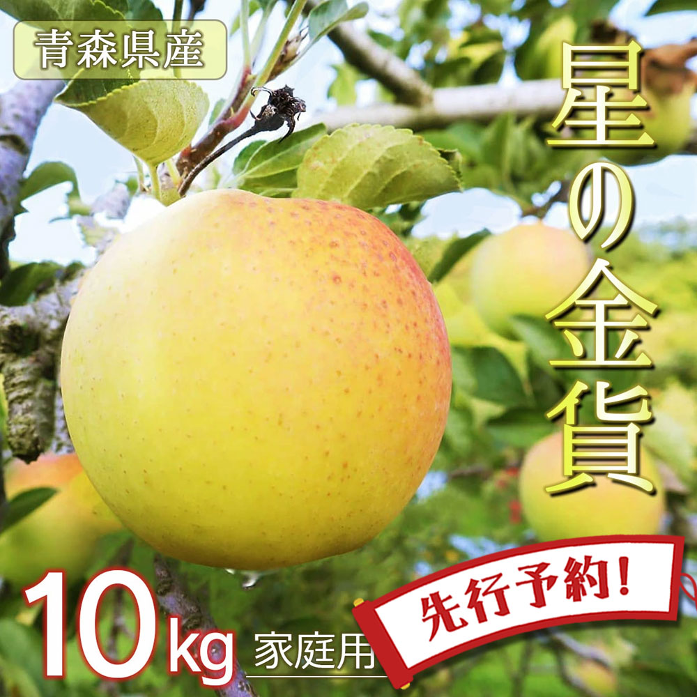【2時間限定クーポン配布中】【先行予約 ご家庭用 星の金貨】りんご リンゴ 送料無料 林檎 ringo 数量限定 2025年産 青森県産りんご 青森りんご ご家庭用 訳あり 星の金貨 10kg (約32玉～50玉入り) 産地直送 工藤農園 おいしい 青りんご おすすめ 希少品種 敬老の日