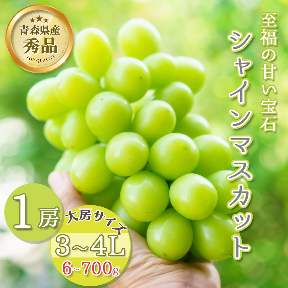 【イベントクーポン配布中】【先行予約 そのまま皮ごと食べられる】シャインマスカット 1房 約600～700g 秀品 3～4L 大房サイズ 贈答 青森県産 マスカット 種なし ぶどう 期間限定 数量限定 果物 くだもの フルーツ 贅沢グルメ お取り寄せ プレゼント ギフト 敬老の日