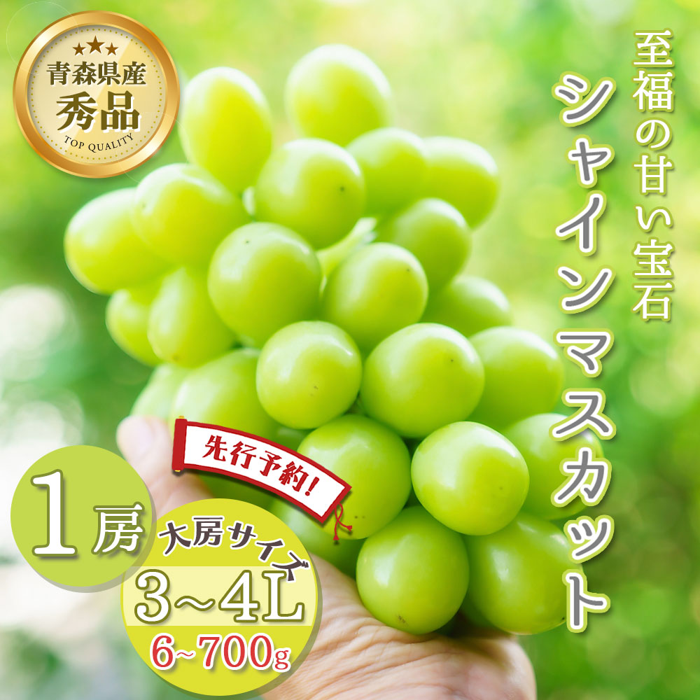 【先行予約 そのまま皮ごと食べられる】シャインマスカット 1房 約600～700g 秀品 3～4L 大房サイズ 贈答 青森県産 マスカット 種なし ぶどう 期間限定 数量限定 果物 くだもの フルーツ 贅沢グルメ お取り寄せ プレゼント ギフト 敬老の日
