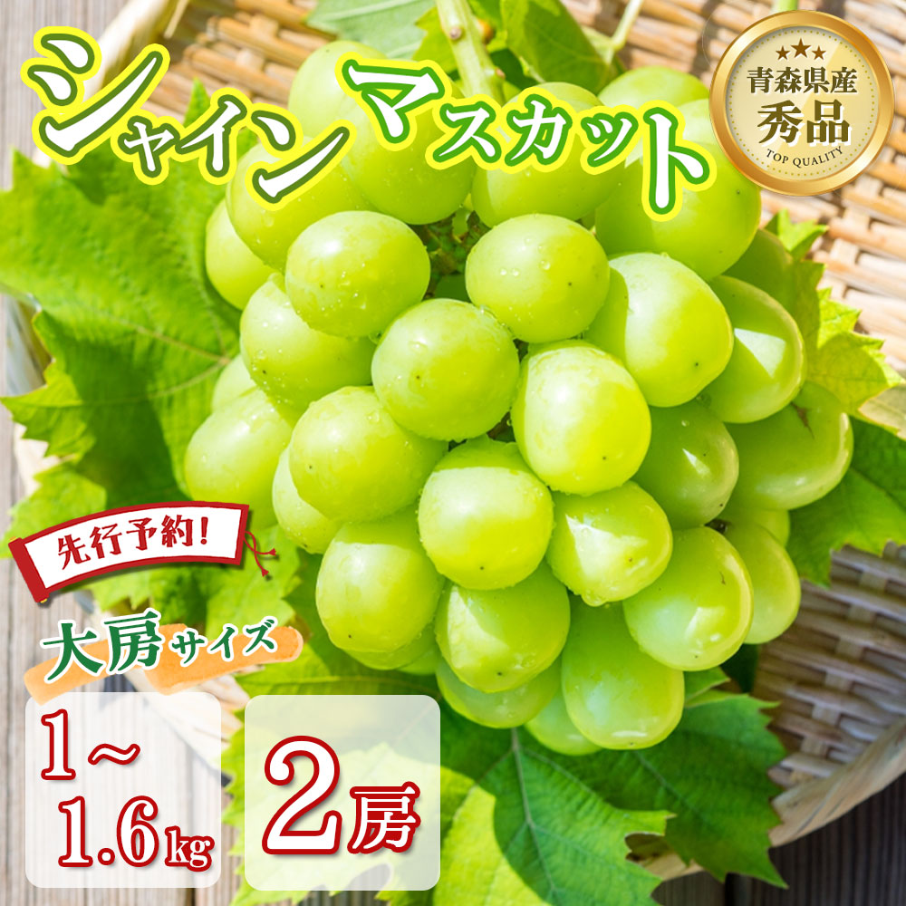 【先行予約 特大サイズ２房入り】シャインマスカット 2房 秀品 大房サイズ 1kg 1.6kg 贈答 青森県産 マスカット 種なし ぶどう 期間限定 数量限定 果物 くだもの フルーツ 贅沢グルメ お取り寄せ プレゼント ギフト 手土産 敬老の日 化粧箱入り SSS