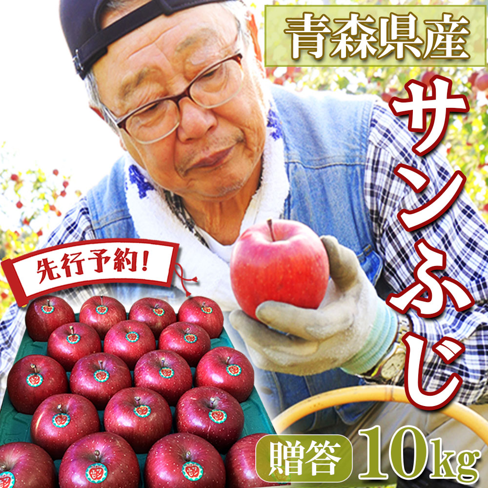 【24時間限定クーポン配布中】【先行予約】 りんご リンゴ 送料無料 林檎 ringo 2025年産 青森県産りんご ご家庭用 贈答用 サンふじ 10kg (約24玉～46玉前後) 産地直送 工藤農園 蜜入り ギフト 贈り物  ※ 訳あり りんご箱 りんごジュース