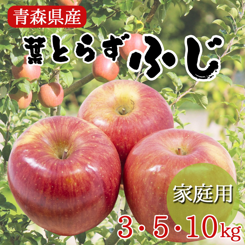 楽天市場】青森産 ふじりんご 約5kg 大玉 14〜16個入り CA貯蔵