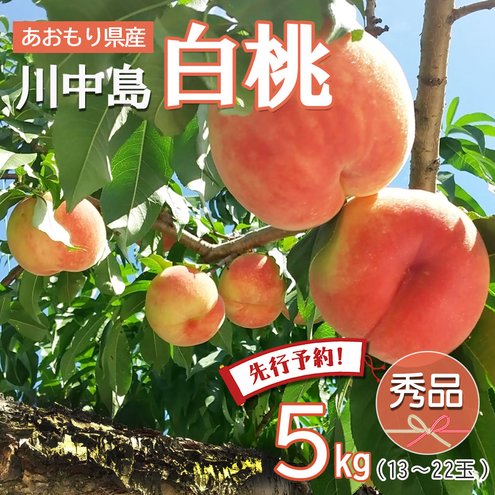 【先行予約 川中島白桃】桃 momo モモ 送料無料 川中島 白桃 秀品 2026年 青森県産 約５キロ 朝どれ 直送 産地直送 贈答 のし無料 お中元 敬老の日 ※ 訳あり 山梨 和歌山 ふるさと納税 ではありません｜Blue　Topazs　店