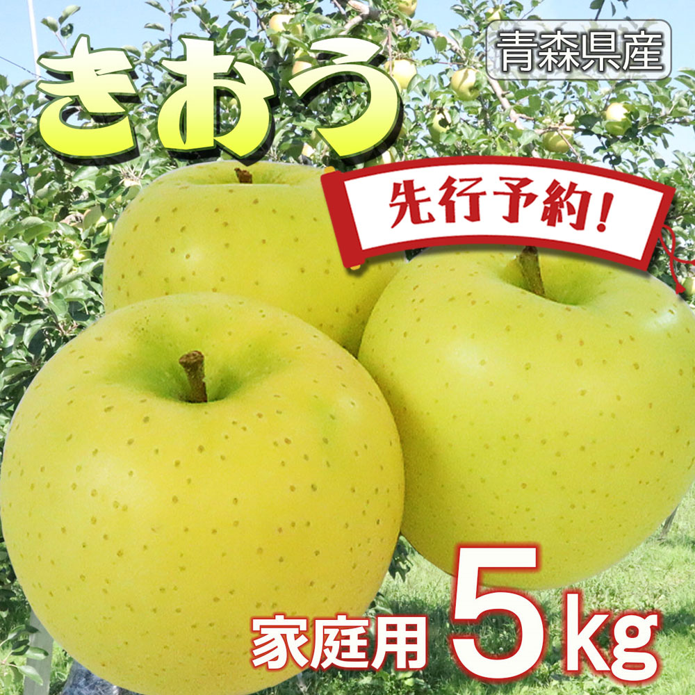 ☆期間限定☆青森県産 きおう 希少 りんご 6~8玉 ⑩ - 果物