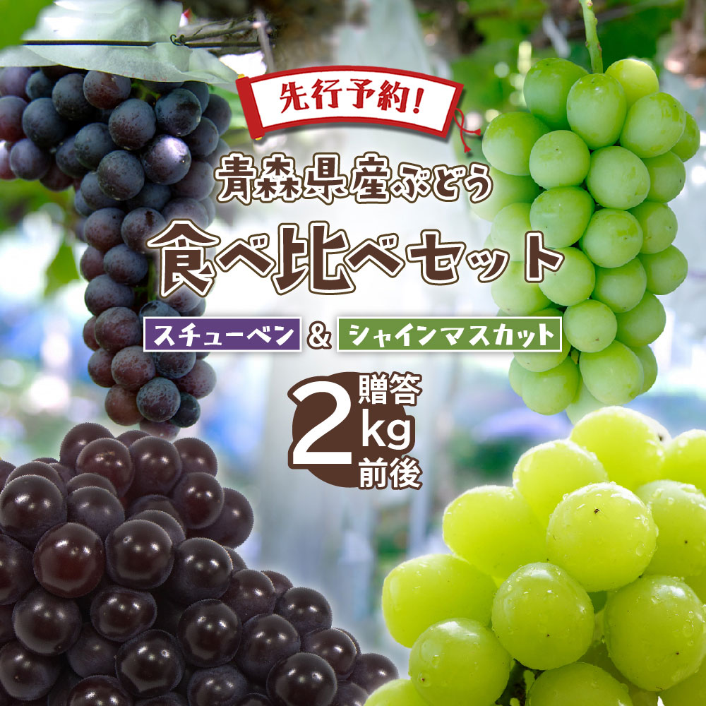 【2時間限定クーポン配布中】【先行予約】ぶどう ブドウ 2025年産 朝どれ 数量限定 青森県産 完熟 スチューベン シャインマスカット 合計 2kg 秀品 朝どれ 葡萄 ギフト プレゼント 贈答
