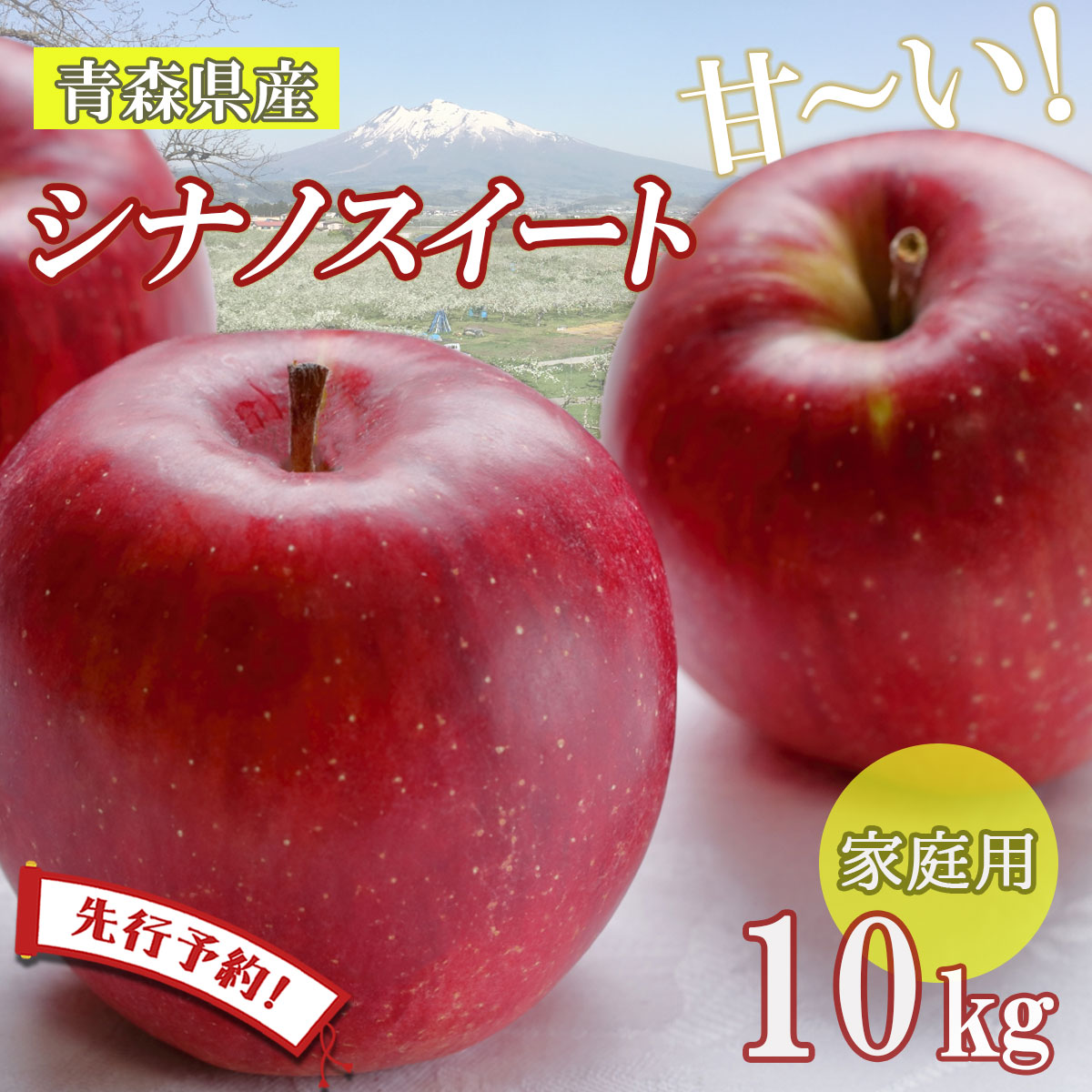 【24時間限定クーポン配布中】【先行予約シナノスイート】りんご リンゴ 送料無料 林檎 ringo 数量限定 2025年産 青森県産りんご ご家庭用 訳あり シナノスイート 10kg (約32玉～46玉入り) 産地直送 工藤農園 蜜入り おいしい おすすめ