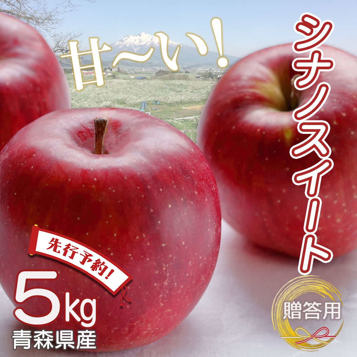 【先行予約】りんご リンゴ 送料無料 林檎 ringo 数量限定 2025年産 青森県産りんご 秀品 贈答用 のし無料 シナノスイート 5kg (約16玉～23玉入り) 産地直送 工藤農園 蜜入り おいしい おすすめ SSS