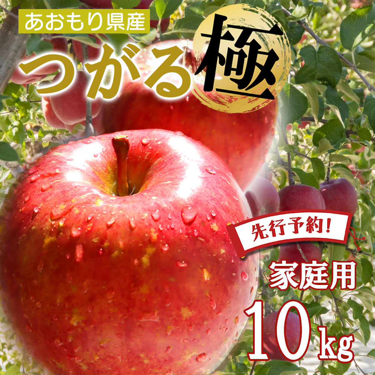 【24時間限定クーポン配布中】【 先行予約 青森県産りんご つがる 】りんご リンゴ 送料無料 林檎 ringo 数量限定 2025年産 青森県産りんご ご家庭用 訳あり つがる 10kg (約24玉～48玉入り) 産地直送 工藤農園 蜜入り おいしい おすすめ 敬老の日