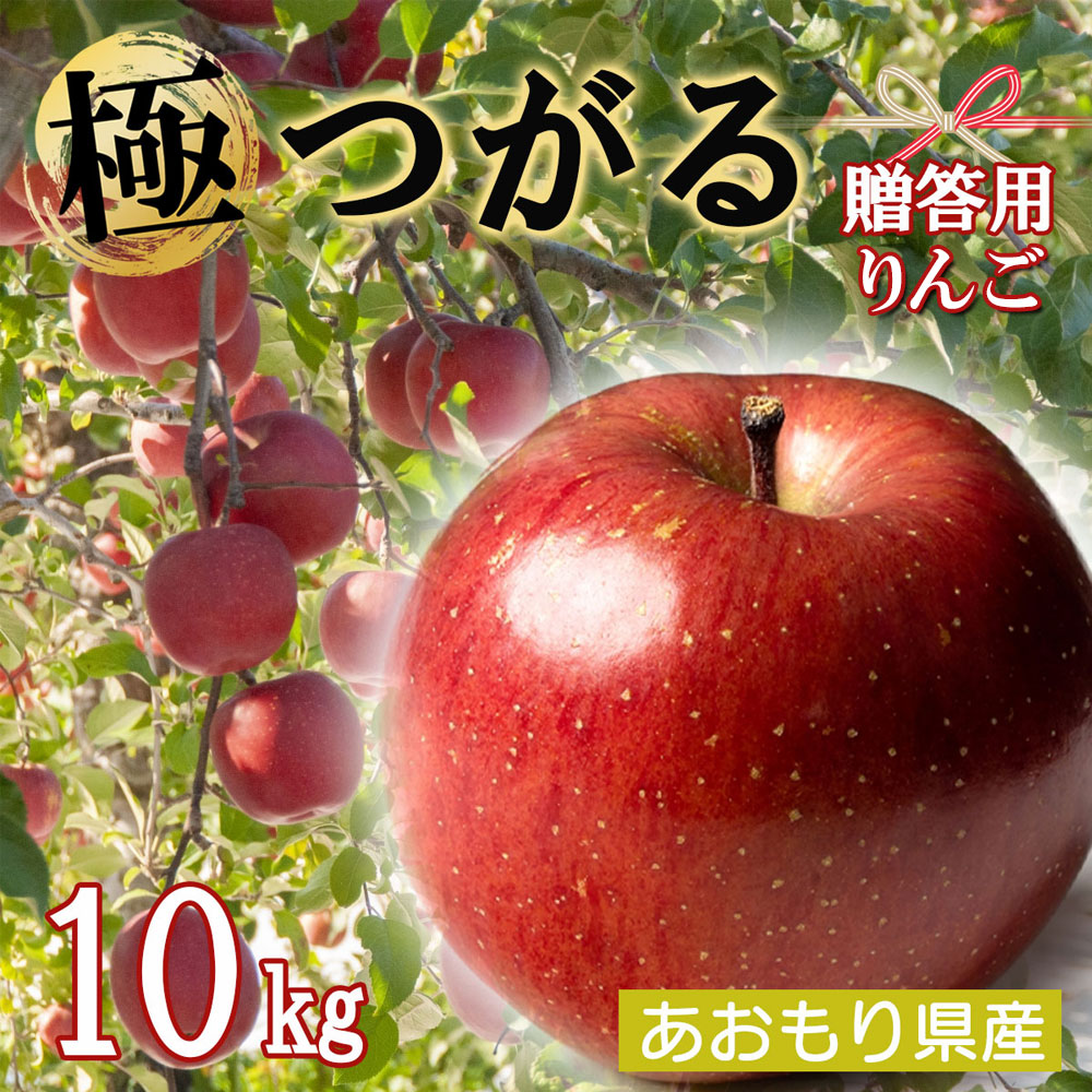 【 先行予約 】りんご リンゴ 送料無料 林檎 ringo 数量限定 2026年産 青森県産りんご 秀品 贈答用 のし無料 つがる10kg (約24玉～48玉入り) 産地直送 工藤農園 蜜入り おいしい おすすめ 敬老の日｜Blue　Topazs　店