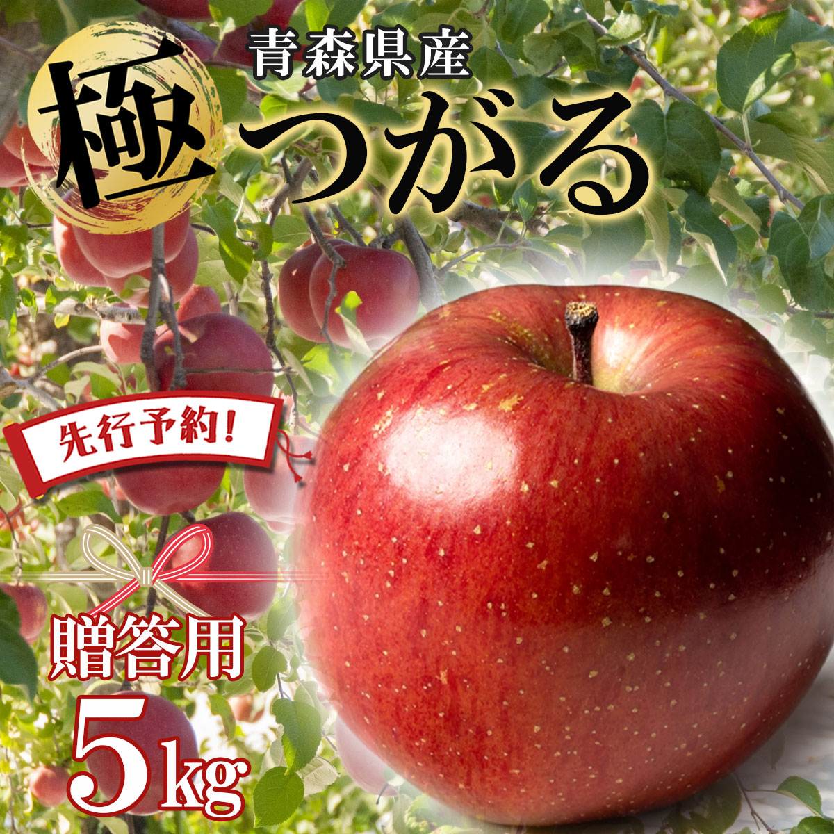 【エントリーで5倍★24時間限定クーポン配布】【 先行予約 青森県産 りんご  つがる 】りんご リンゴ 送料無料 林檎 ringo 数量限定 2025年産 青森県産りんご 秀品 贈答用 のし無料 つがる 5kg (約12玉～24玉入り) 産地直送 工藤農園 蜜入り おいしい おすすめ 敬老の日