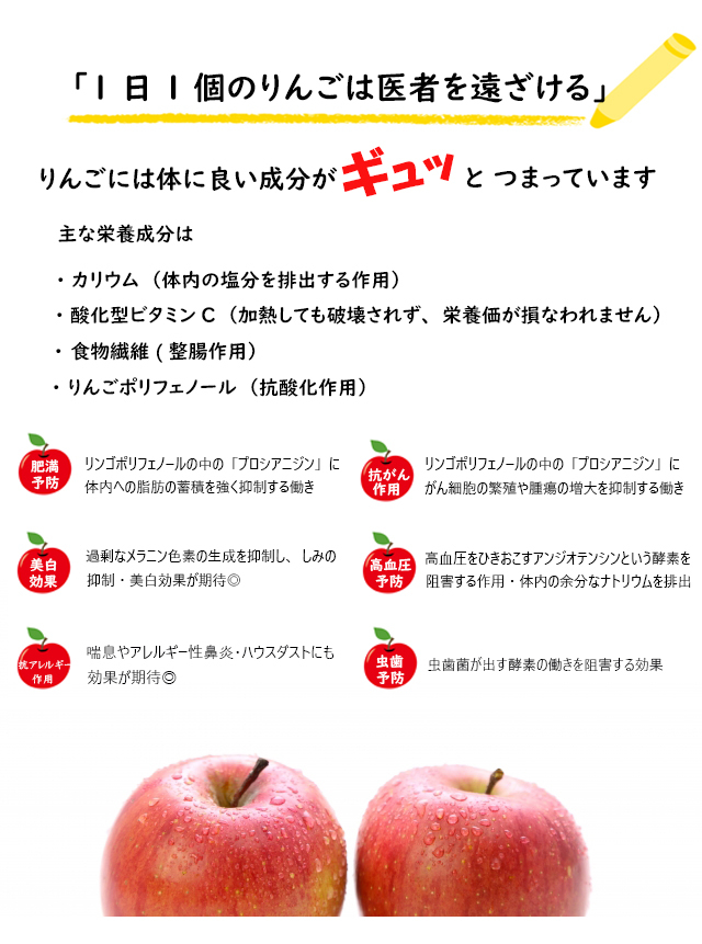 市場 先行予約 贈答用 送料無料 2022年産 青森県産りんご 林檎 数量限定 りんご リンゴ 9月上旬発送 ringo 秀品