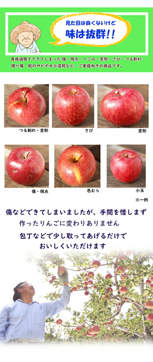 市場 先行予約 林檎 りんご 青森県産りんご 9月上旬発送 2022年産 ringo ご家庭用 リンゴ 数量限定 送料無料