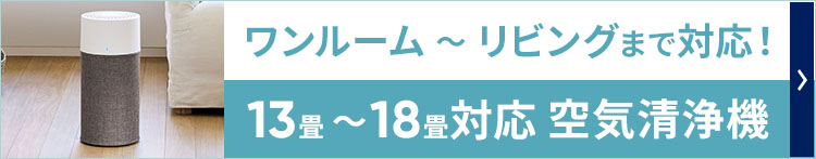 楽天市場】【完売御礼・たくさんのご注文ありがとうございました】空気