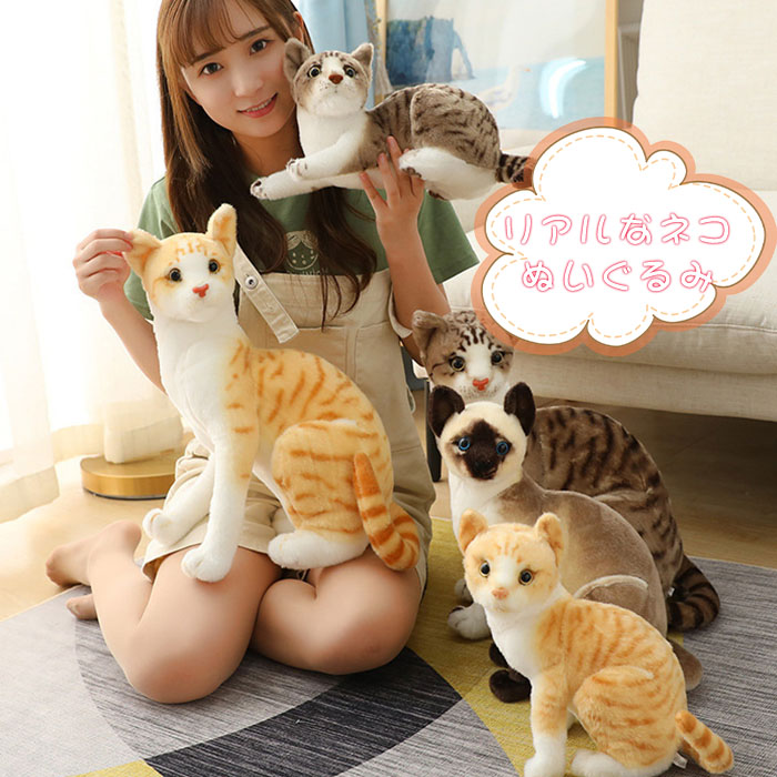 楽天市場】猫 ぬいぐるみ リアル シャムネコ タヌキ猫 茶トラ猫 ペット