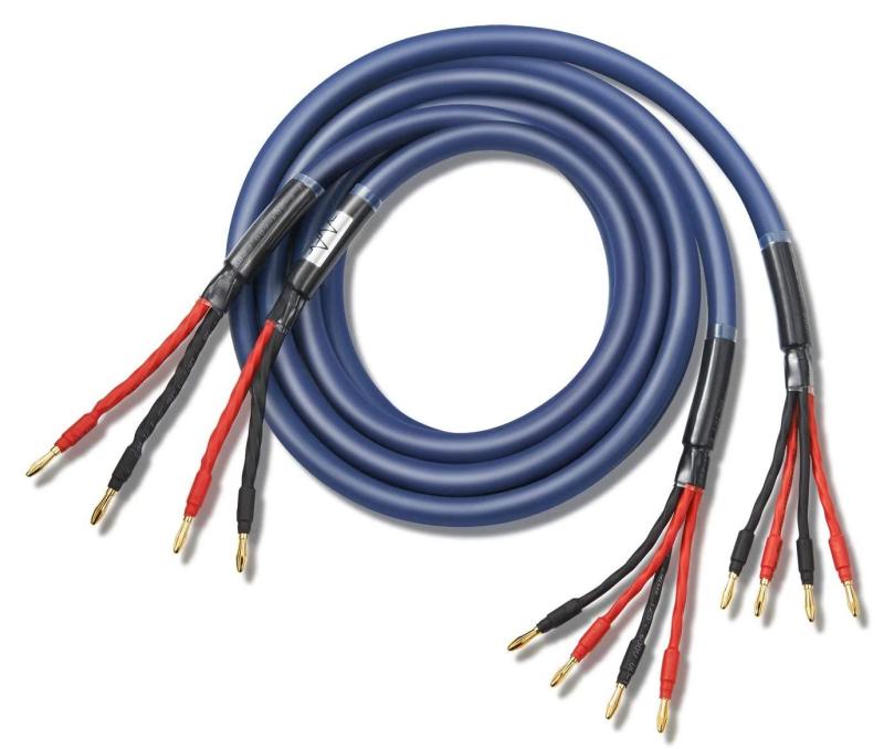 WYVERN AUDIO スピーカーケーブル　② Amazon.co.jp: 【WYVERN AUDIO】 ジャンパーケーブル 完成品