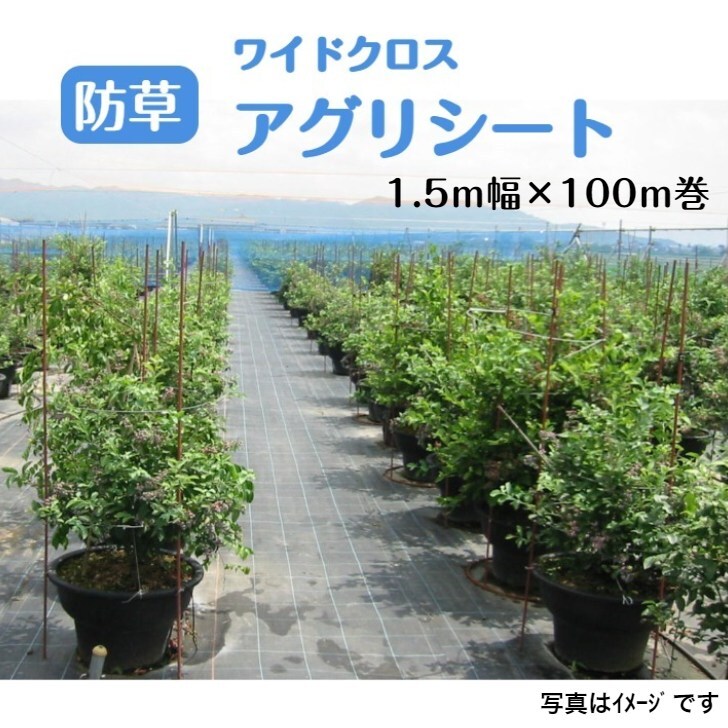 日本広広とした差し交わす アグリ腰かけ (防草腰かけ) 黒いことBB1515 しろがね色薄墨色SG1515 幅1.5ｍ×長さ100m巻 青色透かし彫り生産ライン入り口・入口 雑草 農林原材料 棲み家 畑