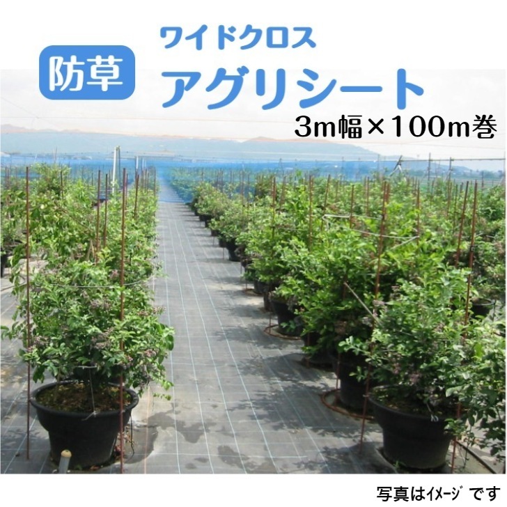 日本ワイドクロス　アグリシート　(防草シート)　ブラックBB1515　シルバーグレーSG1515　幅3ｍ×長さ100m巻　ブルー格子ライン入り　雑草 農業資材　ハウス　畑