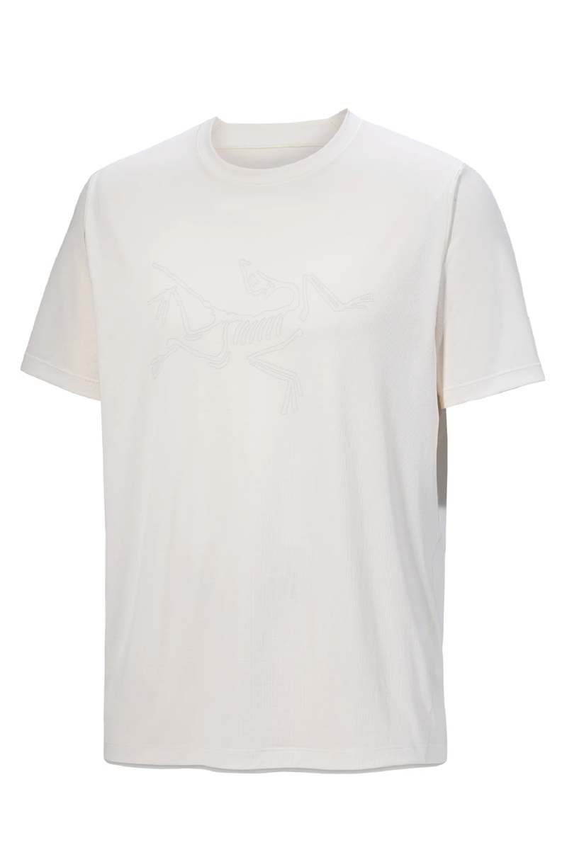 アークテリクス コーマック ロゴタイプ 遊撃手衣袂 メンズARC\u0027TERYX CORMAC LOGO SS M（Arctic Silk）