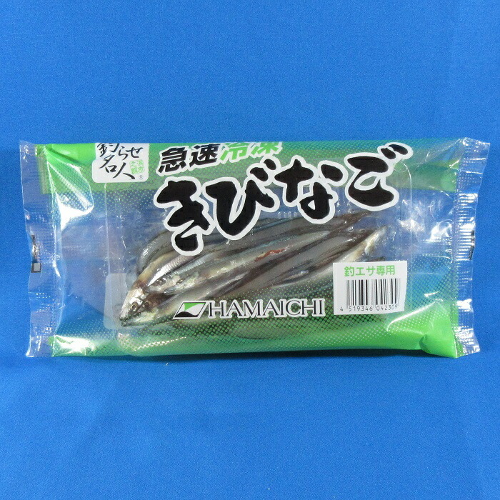 楽天市場】きびなご＜青＞ [ ツリエサ キビナゴ 海上釣堀 釣り堀