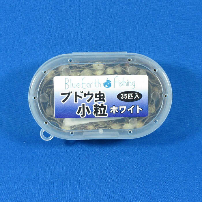 釣りエサ用いくら 楽天市場】粒イクラ 釣り餌 : フィッシングショップTポート