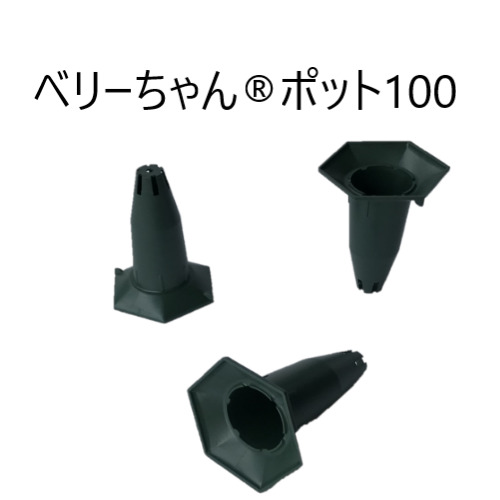 イチゴ 苗ポット　定植苗栽培用容器　ポット 【業者様限定品 DGK ベリーちゃんポット 100型 500個セット】 送料無料 大和技研工業 日本製