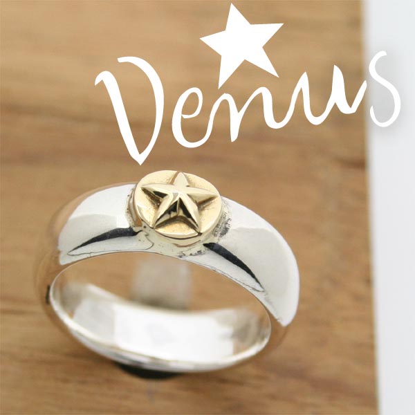 シルバー ゴールド 18k リング シンプル 甲丸プレーン スターvenus 指輪 誠実