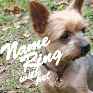 オーダーメイド 愛犬 ネームリング 名入れ プレゼント ネームネックレス イニシャル withRING 誕生日プレゼント ギフト 個性的 記念 贈り物 お祝い 【送料無料】【コンビニ受取対応商品】ご褒美 卒業祝い 就職祝い 卒業記念 成人祝い 記念 母の日