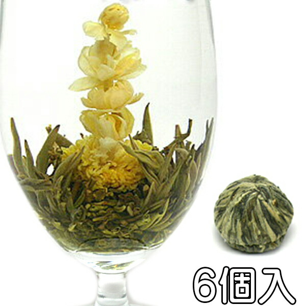 t0330-6p.jpg