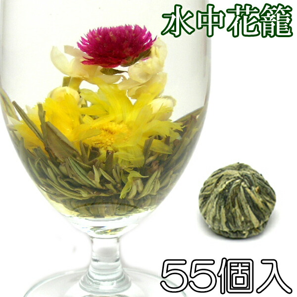 t0807-500-wh2.jpg