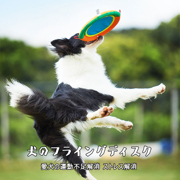 2点以上15 Off フリスビー 丈夫 麻布 犬のフライングディスク ソフト 直径24ｃｍ 犬用 健康 愛犬の運動 歯耐性 ゴム輪 知能訓練