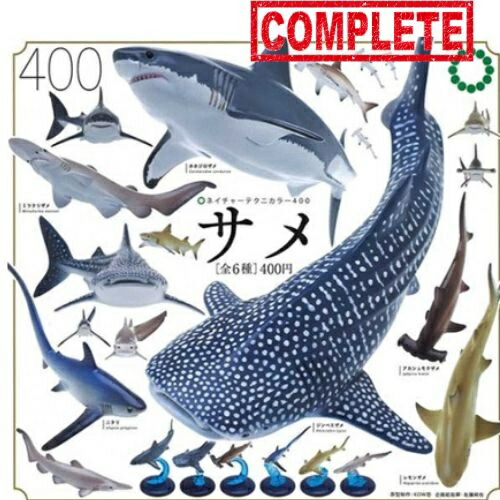 ♯Hsi09LJ地球生命紀行サメ&amp;日本近海の生き物ストラップフル8種 海洋ストラップシリーズ サメ＆日本近海の生き物 8種フルセット