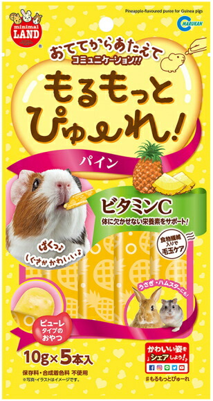 【マルカン】もるもっとぴゅーれ パイン １０ｇｘ５本入り口・入口ｘ４８個（入れもの売りわたす）