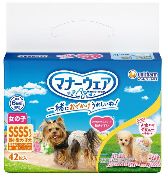【ユニ惹きつける】折りかがみお召しもの 御姉さん用 トラッドテイスト SSSS大きさ ４２枚ｘ８個（入れもの売りわたす）