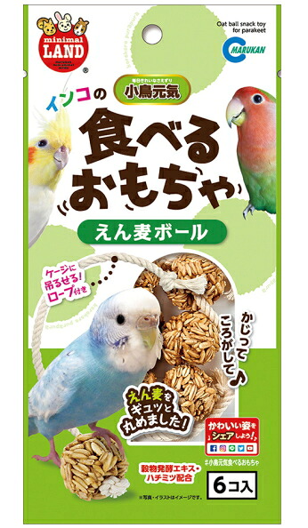 【マルカン】インコの燕麦ボール　６個入ｘ３６個（ケース販売）