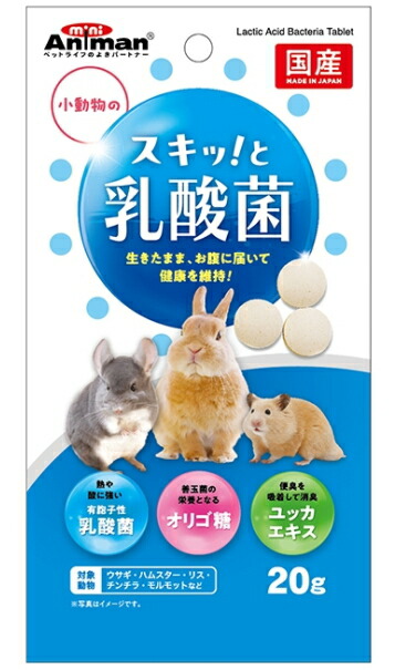 【ドギーマンハヤシ】小毛の荒物のスキッ！と乳酸菌 ２０ｇｘ４８個（容れもの売りわたす）
