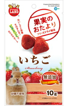 【マルカン】木ノ実のおかかわり合い いちご １０ｇｘ３６個（入れもの売りわたす）