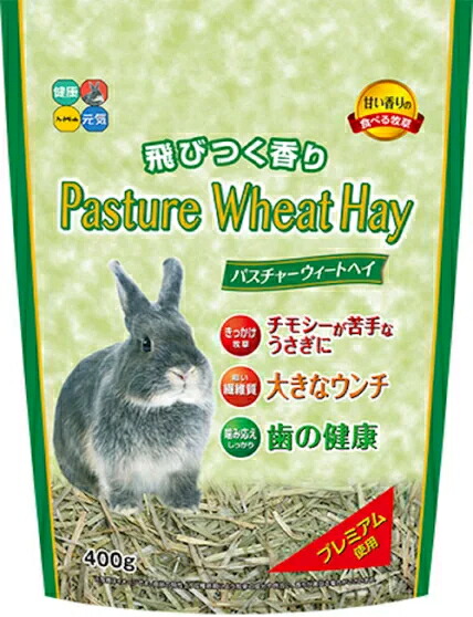 【御機嫌愛玩動物】パスチャーウィートヘイ ４００ｇｘ１６個（入れもの売りわたす）