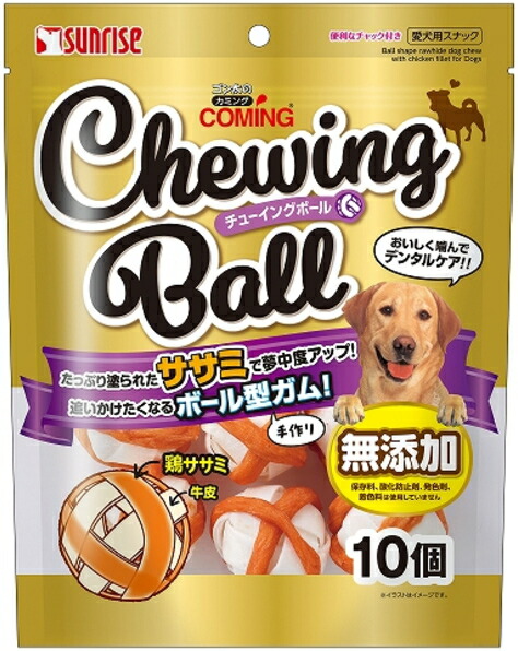 【サンライズ】ゴン太のカミング チューイングシューズ １０個ｘ１２個（入れもの売りわたす）
