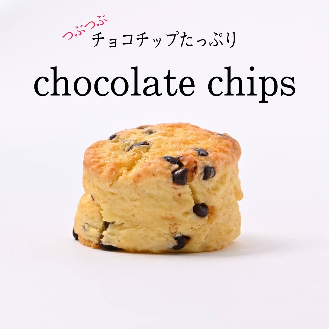 楽天市場】スコーン チョコチャンク チョコチップ チョコレート 2個 お