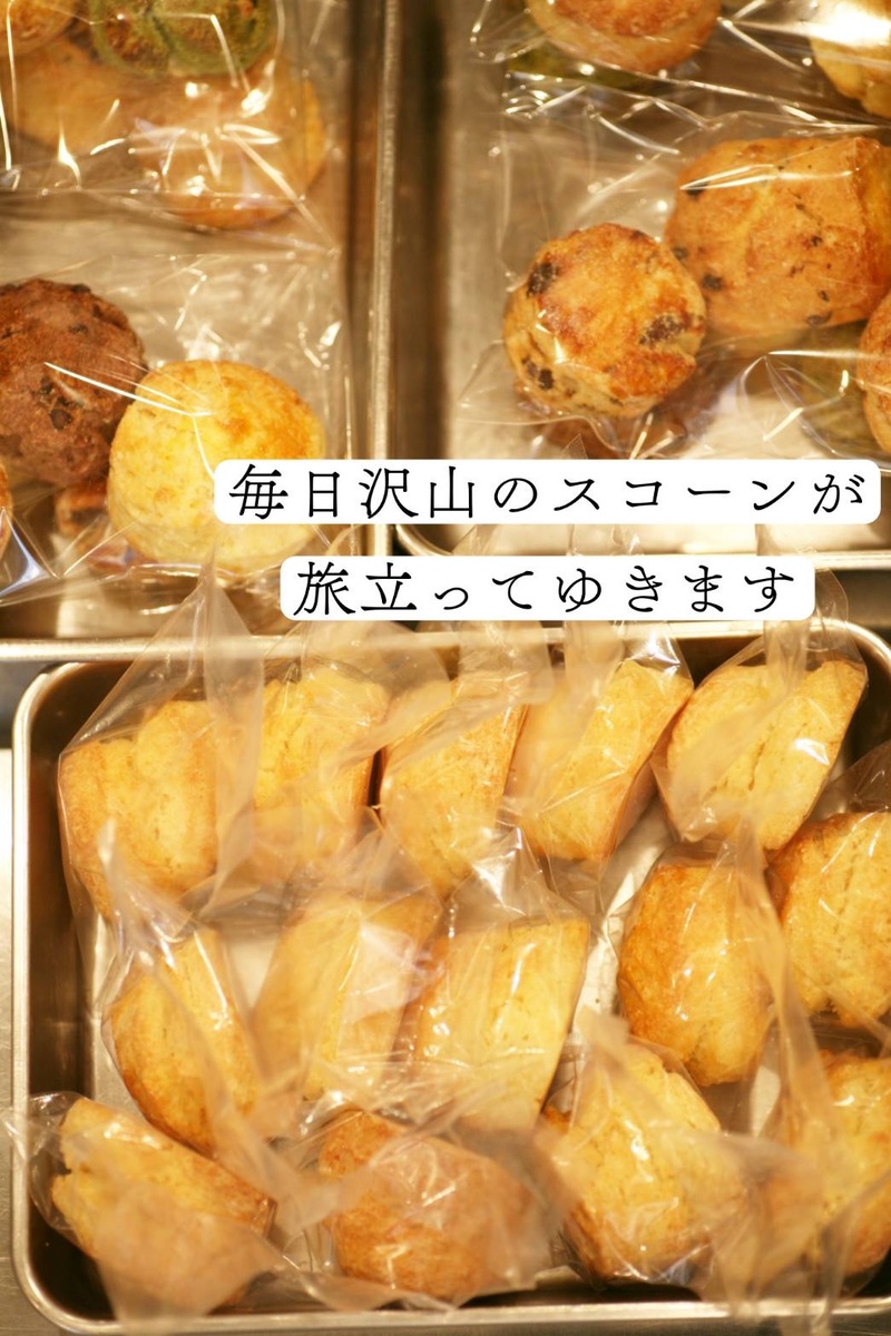 市場 スコーン チーズ おすすめ お取り寄せ 冷凍発送 お菓子 スイーツ 2個入り 人気