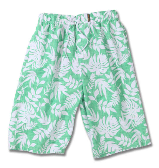 楽天市場 大きいサイズ メンズ Ocean Pacific サーフパンツ グリーン 1164 92 2 3l 4l 5l 6l 8l 大きいサイズ の店ビッグエムワン