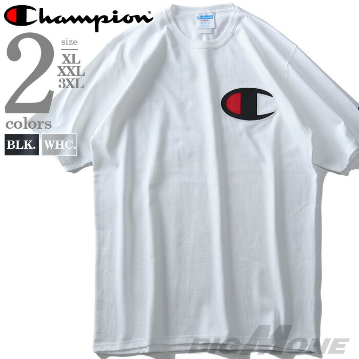 champion gt19 y06820