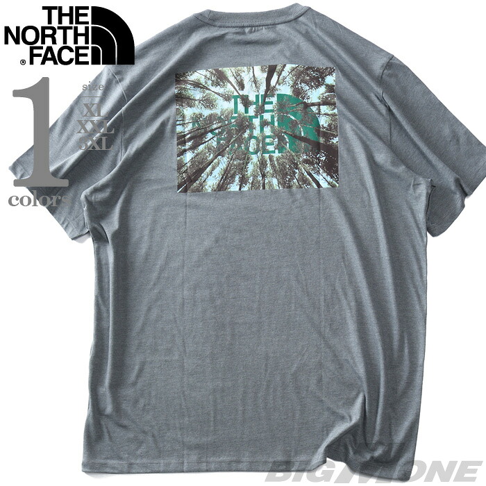大きいサイズ メンズ THE NORTH FACE ノースフェイス プリント 半袖 Tシャツ S/S CROWN SHYNESS TEE USA直輸入 nf0a8b0c-dyy
