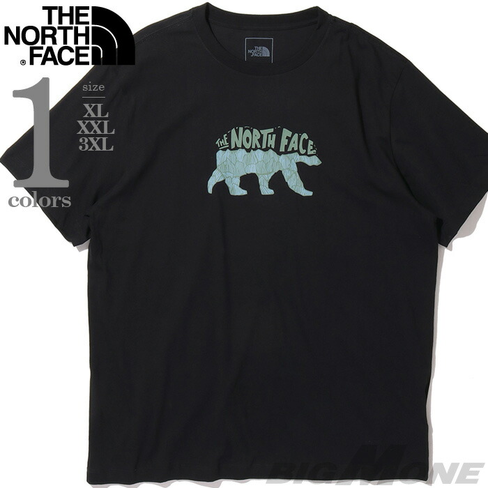 大きいサイズ メンズ THE NORTH FACE ノースフェイス プリント 半袖 Tシャツ USA直輸入 nf0a8fmv-jk3
