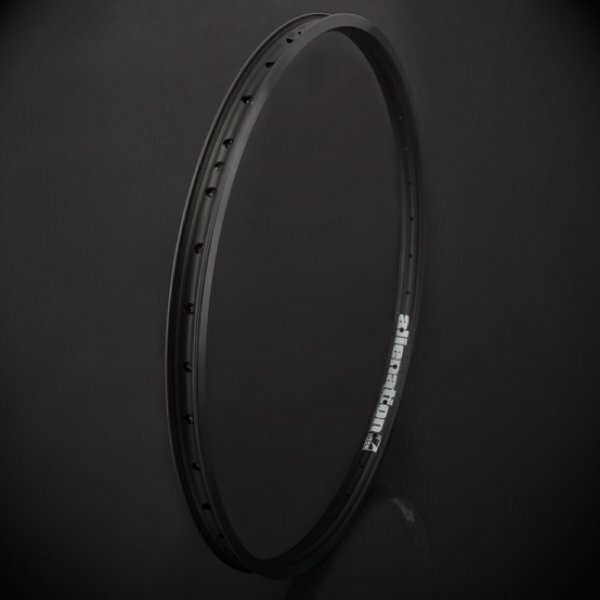 楽天市場】ALEX - DM22 Rim 48h ARESTIC / アレックス リム アーレス