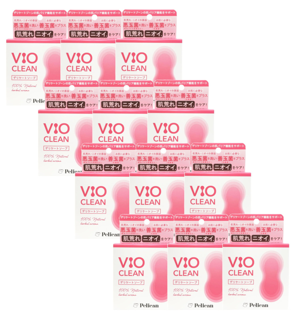 伽藍鳥石ケン VIO CLEAM デリケートソープ 80g×12【12個仕掛ける】貨物輸送無料 VIO 悪臭い ニオイ 肌荒れ 難しい区画
